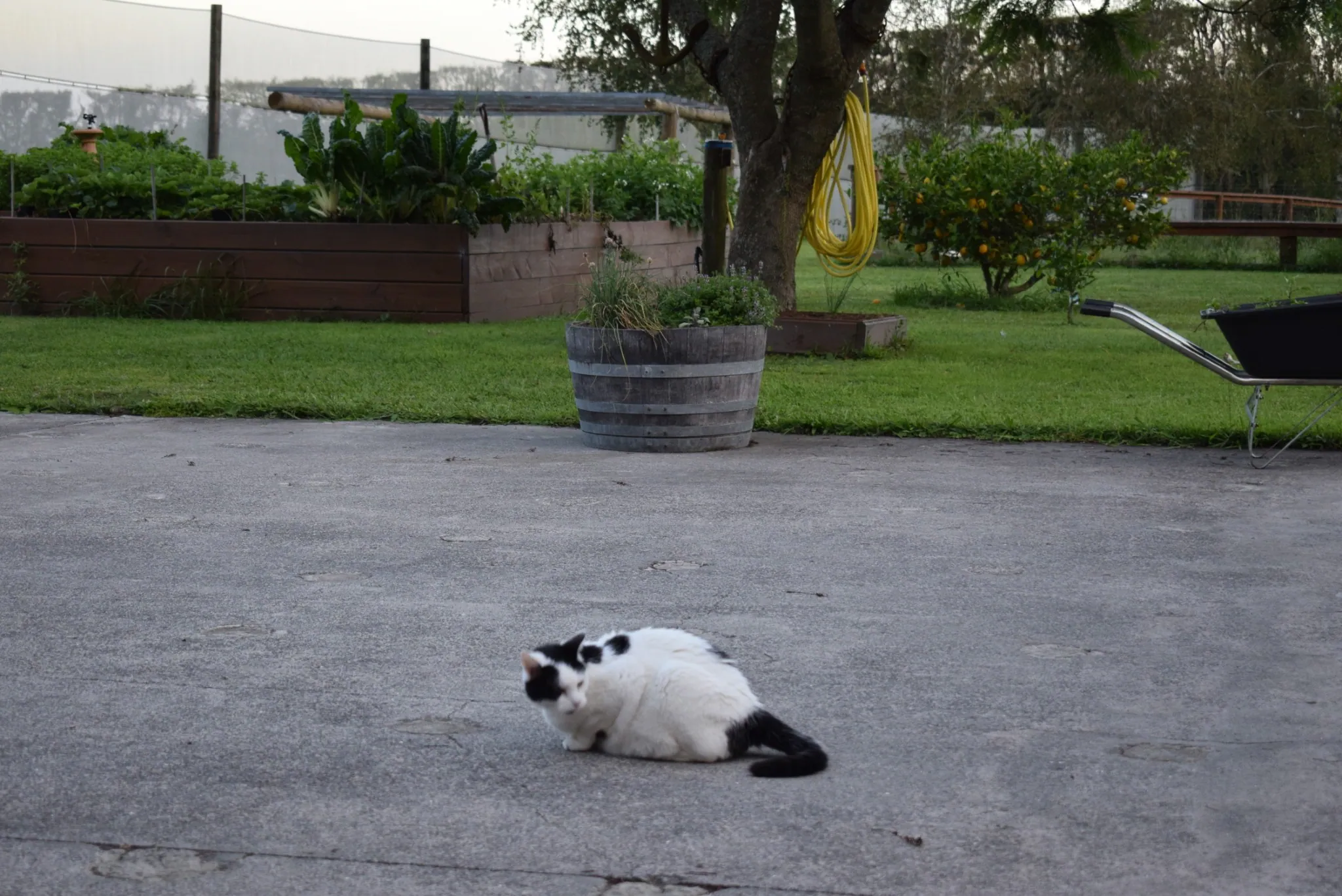 A28 marshall venturing further afield 28 jan 2018 (7)